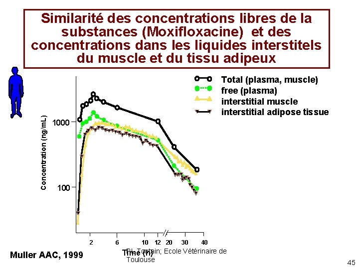 Concentration (ng/m. L) Similarité des concentrations libres de la substances (Moxifloxacine) et des concentrations