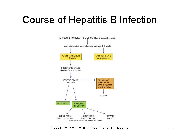 Course of Hepatitis B Infection • Copyright © 2014, 2011, 2006 by Saunders, an