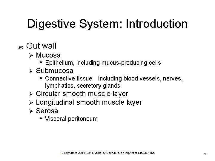 Digestive System: Introduction Gut wall Mucosa • Epithelium, including mucus-producing cells Ø Submucosa •
