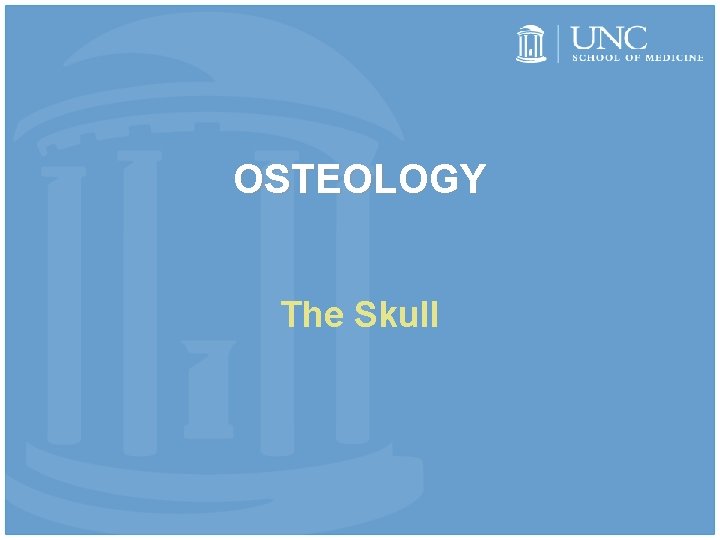 OSTEOLOGY The Skull 