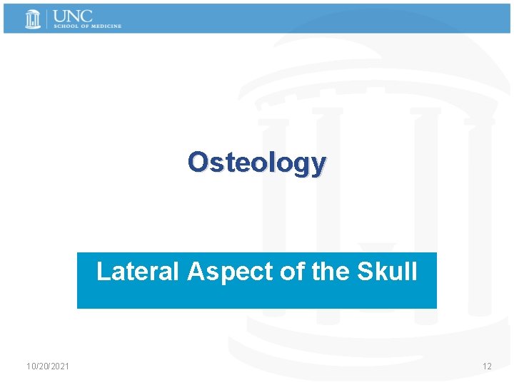 Osteology Lateral Aspect of the Skull 10/20/2021 12 