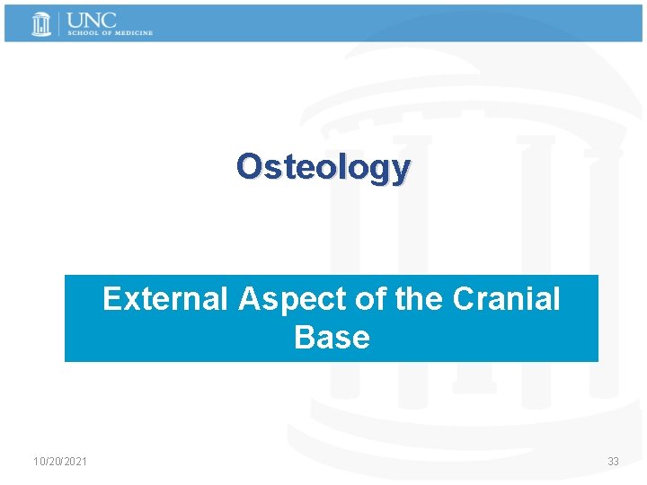 Osteology External Aspect of the Cranial Base 10/20/2021 33 