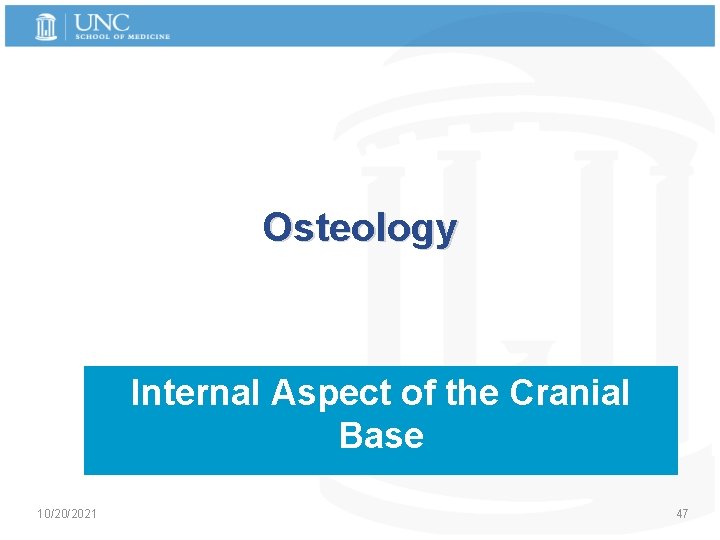 Osteology Internal Aspect of the Cranial Base 10/20/2021 47 