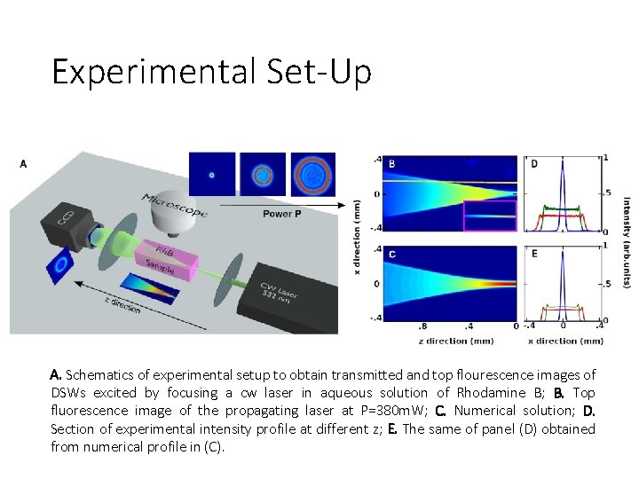 Experimental Set-Up A. Schematics of experimental setup to obtain transmitted and top flourescence images