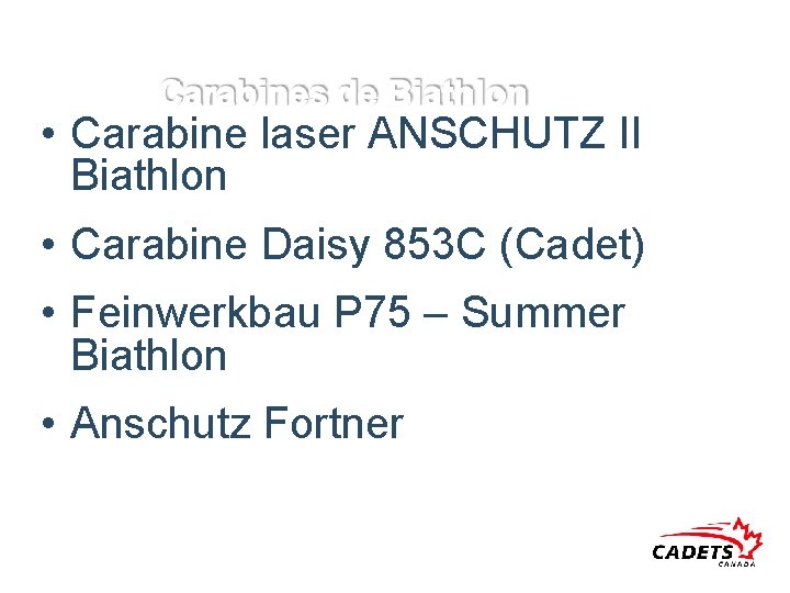  • Carabine laser ANSCHUTZ II Biathlon • Carabine Daisy 853 C (Cadet) •