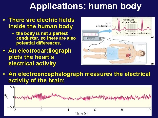 Applications: human body • There are electric fields inside the human body – the