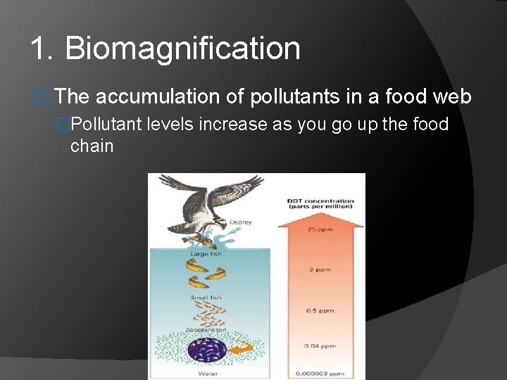 1. Biomagnification � The accumulation of pollutants in a food web �Pollutant levels increase