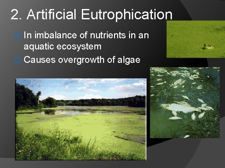 2. Artificial Eutrophication � In imbalance of nutrients in an aquatic ecosystem � Causes