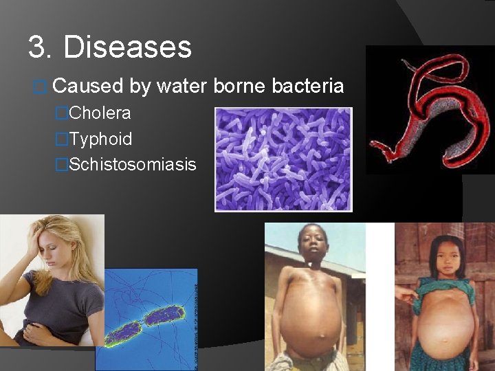 3. Diseases � Caused by water borne bacteria �Cholera �Typhoid �Schistosomiasis 