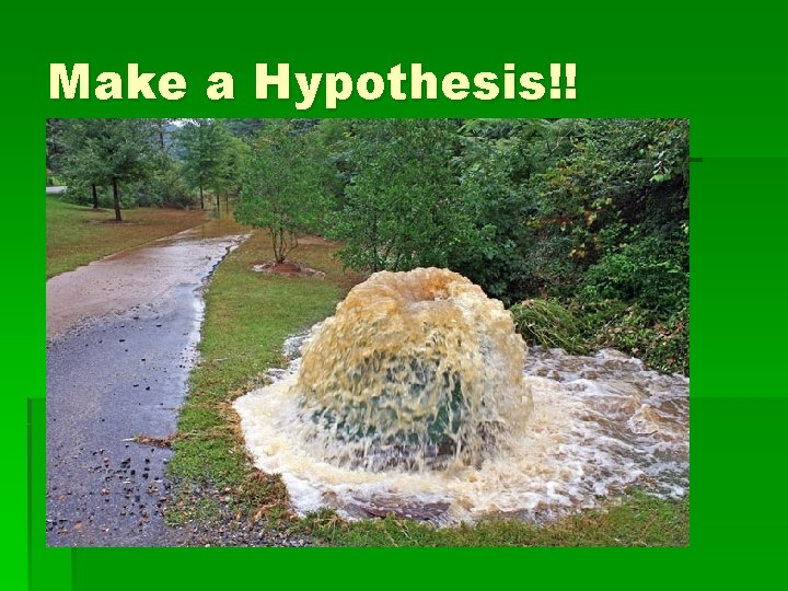 Make a Hypothesis!! 