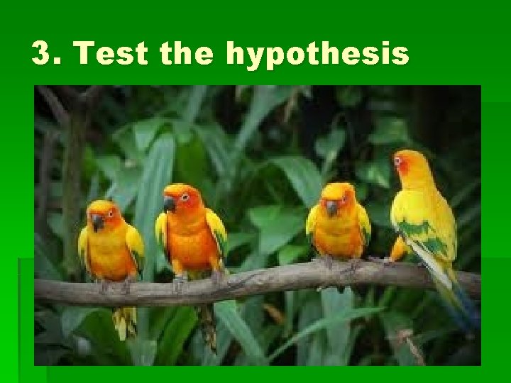 3. Test the hypothesis 