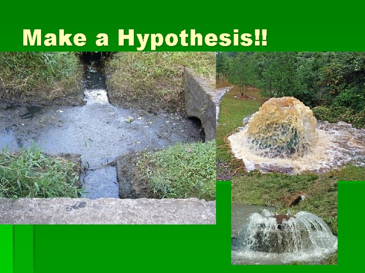 Make a Hypothesis!! 