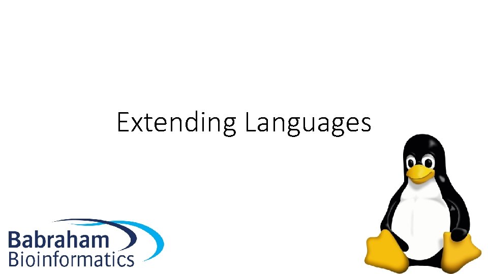 Extending Languages 