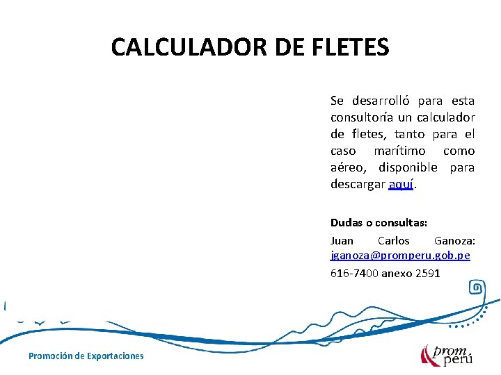 CALCULADOR DE FLETES Se desarrolló para esta consultoría un calculador de fletes, tanto para