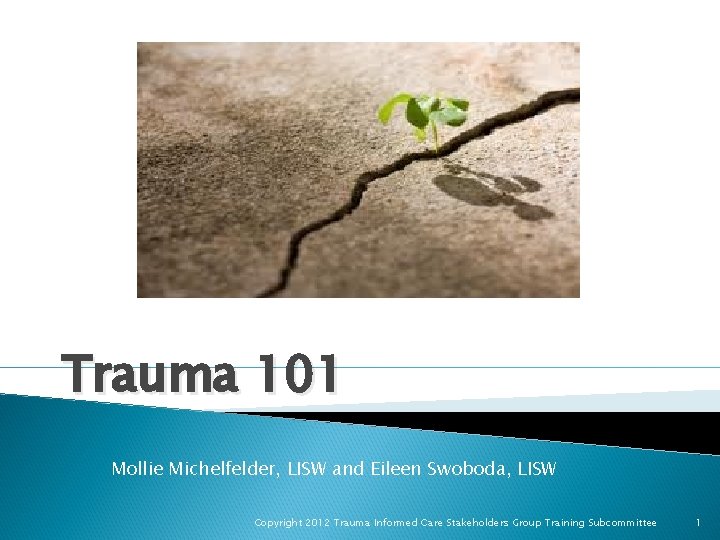 Trauma 101 Mollie Michelfelder, LISW and Eileen Swoboda, LISW Copyright 2012 Trauma Informed Care