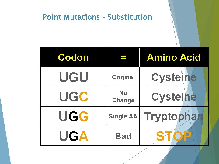 Point Mutations - Substitution Codon UGU UGC UGG UGA = Amino Acid Original Cysteine