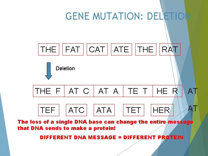 GENE MUTATION: DELETION THE FAT CAT ATE THE RAT Deletion THE F AT C