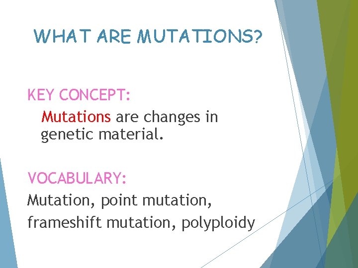 WHAT ARE MUTATIONS? KEY CONCEPT: Mutations are changes in genetic material. VOCABULARY: Mutation, point