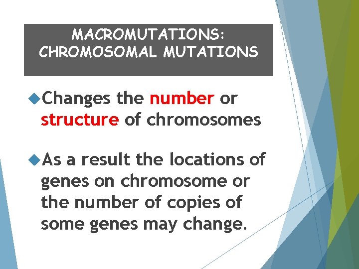 MACROMUTATIONS: CHROMOSOMAL MUTATIONS Changes the number or structure of chromosomes As a result the