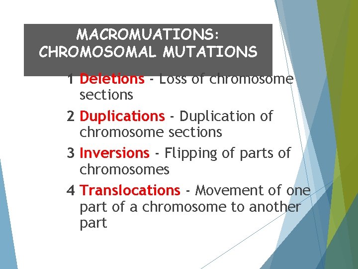 MACROMUATIONS: CHROMOSOMAL MUTATIONS 1 Deletions - Loss of chromosome sections 2 Duplications - Duplication