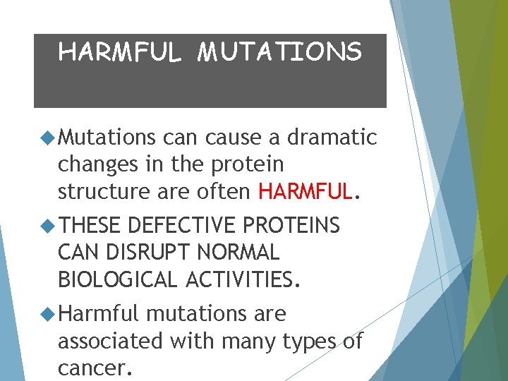 HARMFUL MUTATIONS Mutations can cause a dramatic changes in the protein structure are often