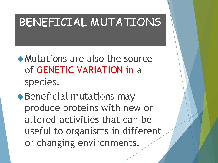 BENEFICIAL MUTATIONS Mutations are also the source of GENETIC VARIATION in a species. Beneficial