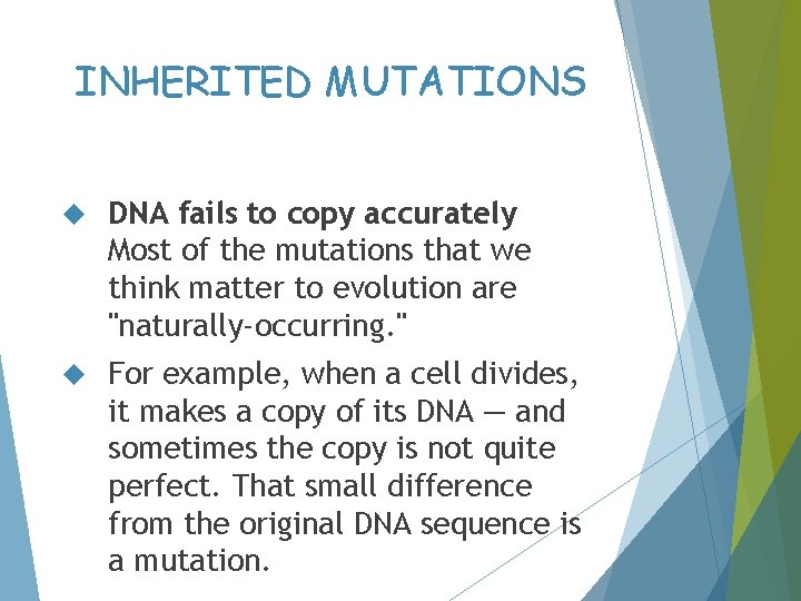 INHERITED MUTATIONS DNA fails to copy accurately Most of the mutations that we think