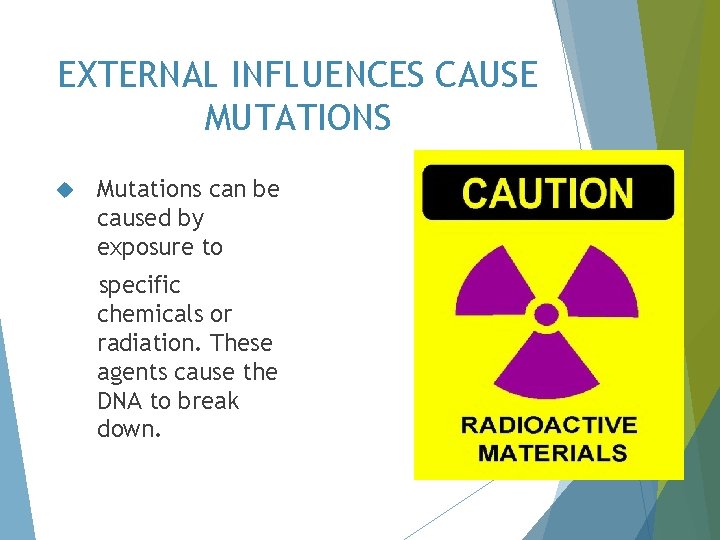 EXTERNAL INFLUENCES CAUSE MUTATIONS Mutations can be caused by exposure to specific chemicals or