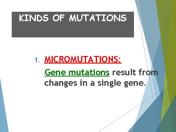 KINDS OF MUTATIONS 1. MICROMUTATIONS: Gene mutations result from changes in a single gene.