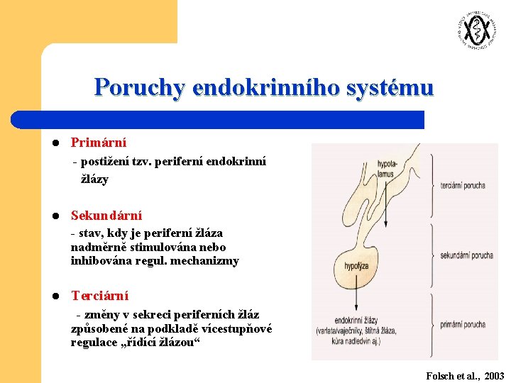 Poruchy endokrinního systému l Primární - postižení tzv. periferní endokrinní žlázy l Sekundární -