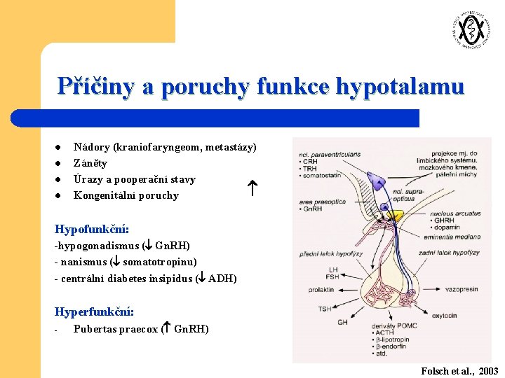 Příčiny a poruchy funkce hypotalamu l l Nádory (kraniofaryngeom, metastázy) Záněty Úrazy a pooperační