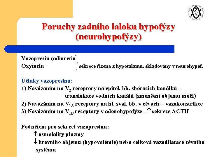 Poruchy zadního laloku hypofýzy (neurohypofýzy) Vazopresin (adiuretin Oxytocin sekrece řízena z hypotalamu, skladovány v