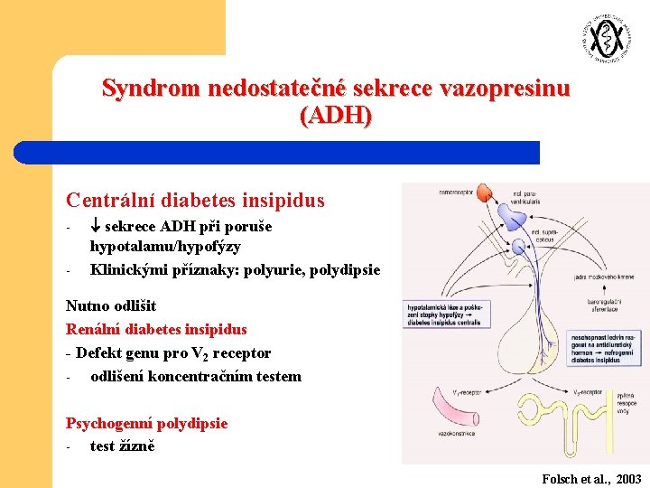 Syndrom nedostatečné sekrece vazopresinu (ADH) Centrální diabetes insipidus - sekrece ADH při poruše hypotalamu/hypofýzy