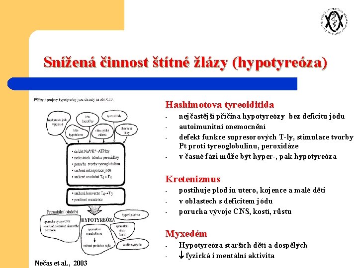 Snížená činnost štítné žlázy (hypotyreóza) Hashimotova tyreoiditida - nejčastější příčina hypotyreózy bez deficitu jódu