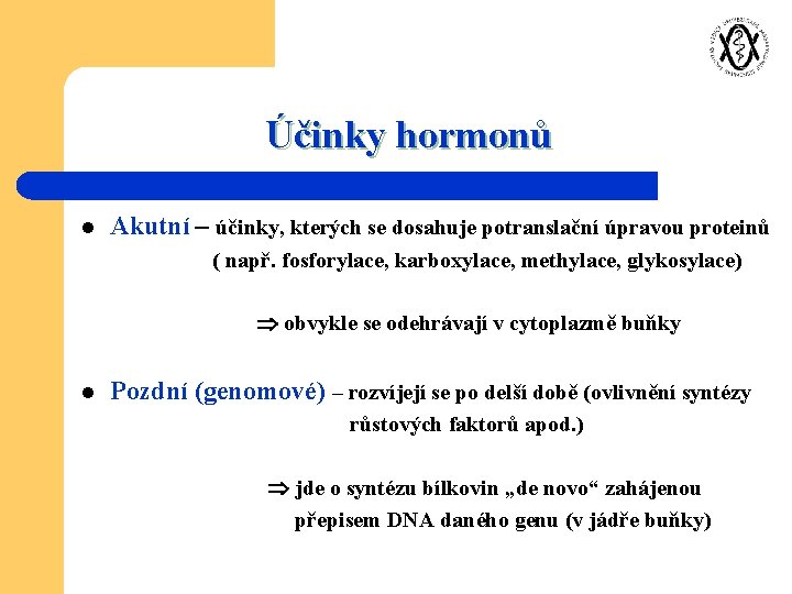 Účinky hormonů l Akutní – účinky, kterých se dosahuje potranslační úpravou proteinů ( např.