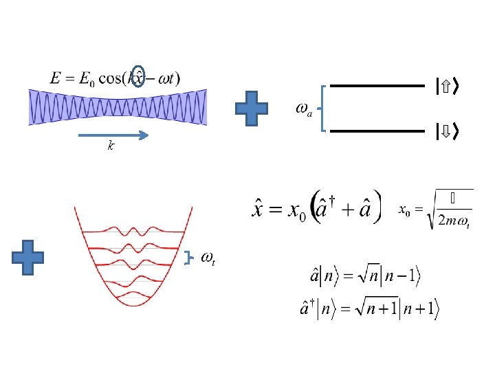 Spinmotion coupling in atoms Cooling to motional ground