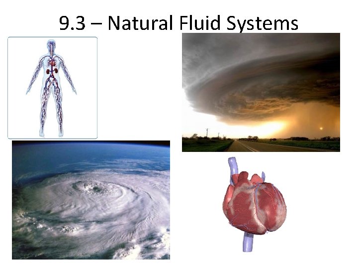 9. 3 – Natural Fluid Systems 