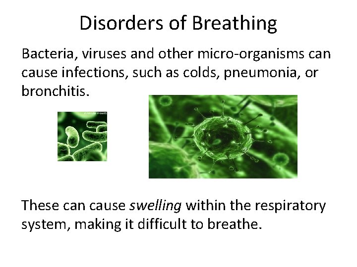 Disorders of Breathing Bacteria, viruses and other micro-organisms can cause infections, such as colds,