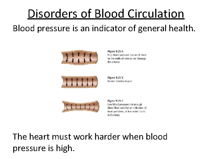 Disorders of Blood Circulation Blood pressure is an indicator of general health. The heart
