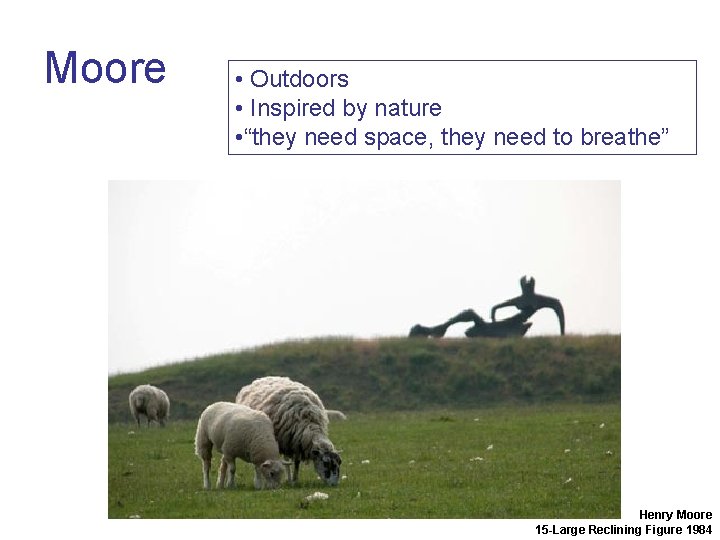 Moore • Outdoors • Inspired by nature • “they need space, they need to