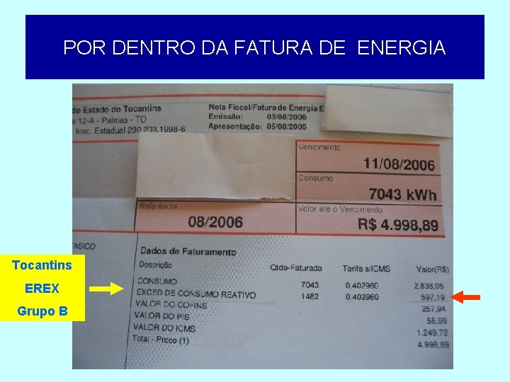POR DENTRO DA FATURA DE ENERGIA Tocantins EREX Grupo B 