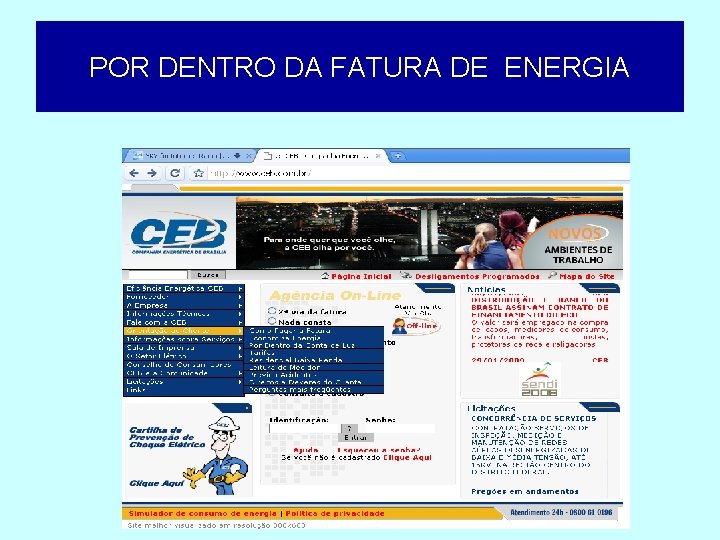 POR DENTRO DA FATURA DE ENERGIA 