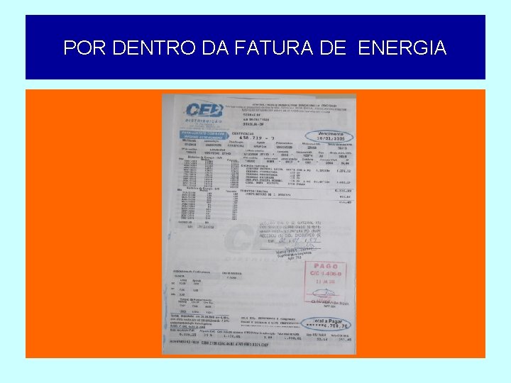 POR DENTRO DA FATURA DE ENERGIA 