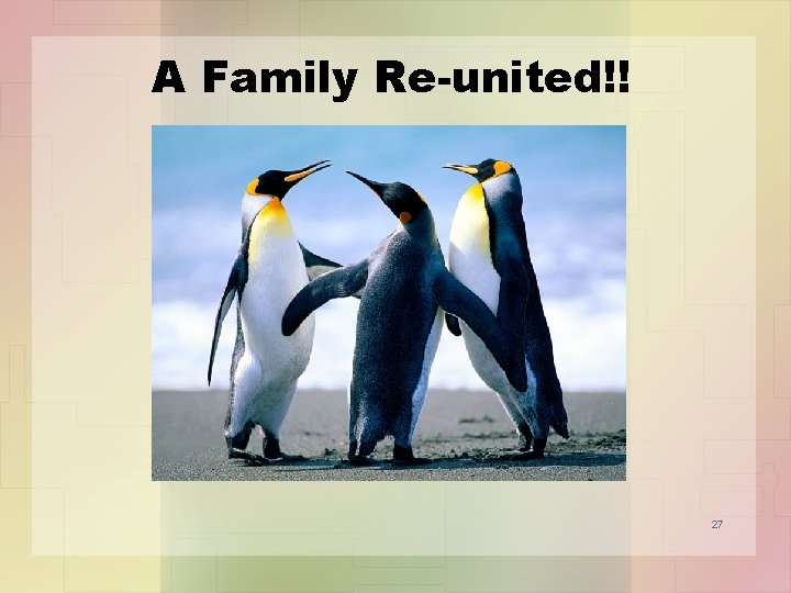 A Family Re-united!! 27 