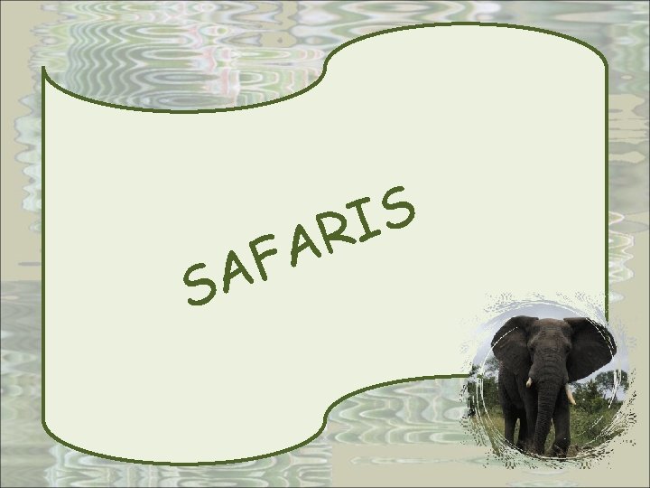S F A S I R A 