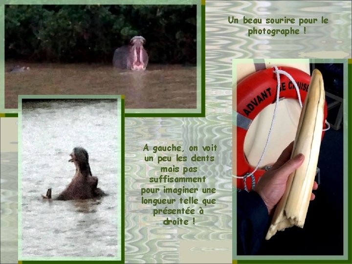 Un beau sourire pour le photographe ! A gauche, on voit un peu les