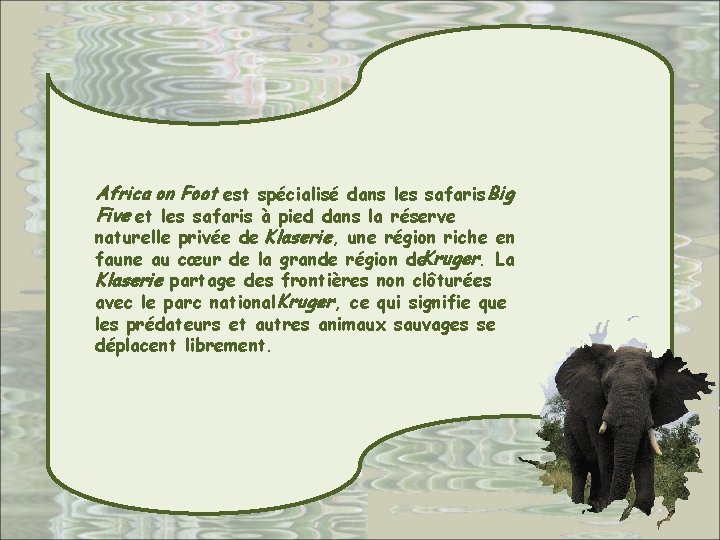 Africa on Foot est spécialisé dans les safaris Big Five et les safaris à