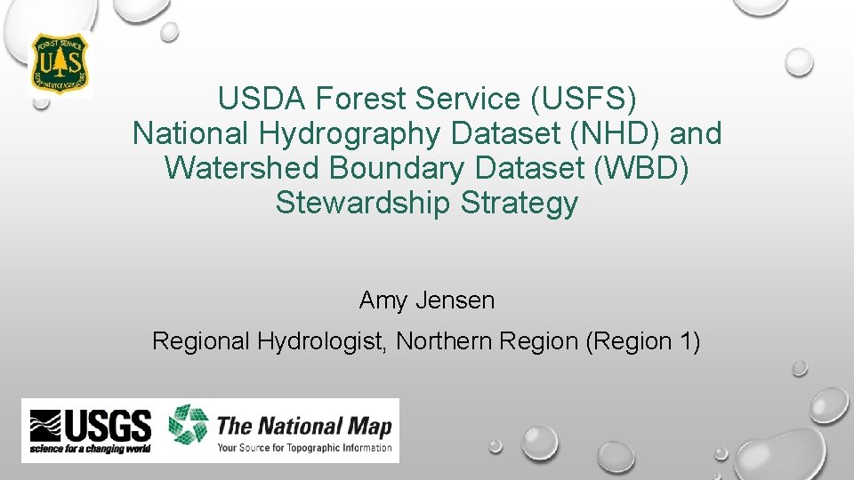 USDA Forest Service (USFS) National Hydrography Dataset (NHD) and Watershed Boundary Dataset (WBD) Stewardship