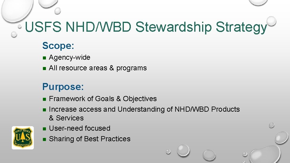 USFS NHD/WBD Stewardship Strategy Scope: Agency-wide All resource areas & programs Purpose: Framework of