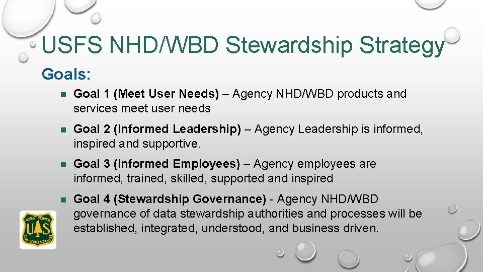 USFS NHD/WBD Stewardship Strategy Goals: Goal 1 (Meet User Needs) – Agency NHD/WBD products